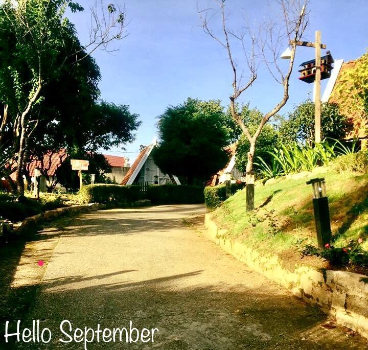 Vanda Garden Hill Hostel Da Lat Buitenkant foto